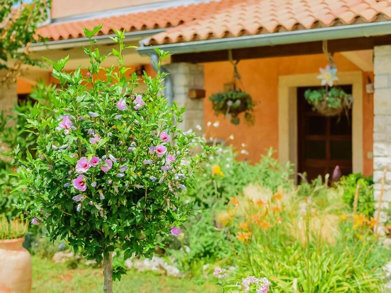 Holiday Home Vodnjan 5973