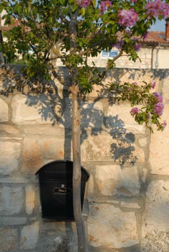 Villa Stone House