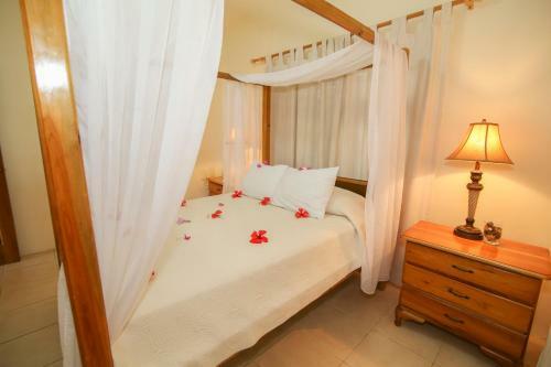 Hotel Catcha Falling Star