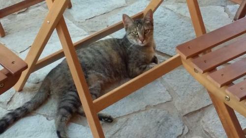 Bed & Breakfast La Contea