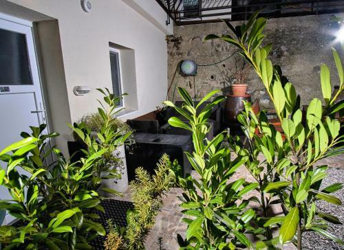 Apartments Villa Ivica