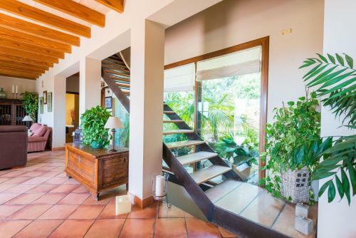 Villa Es Pinar