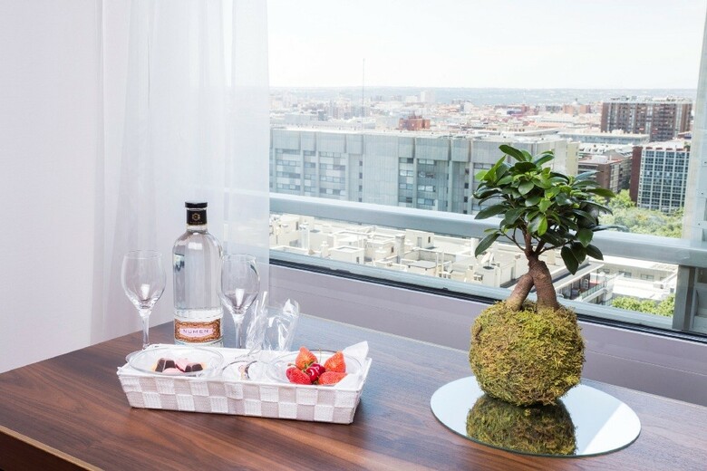 Hotel NH Collection Madrid Eurobuilding
