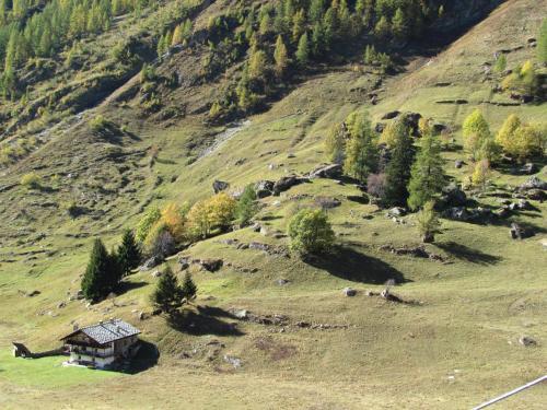 Il Piccolo Residence