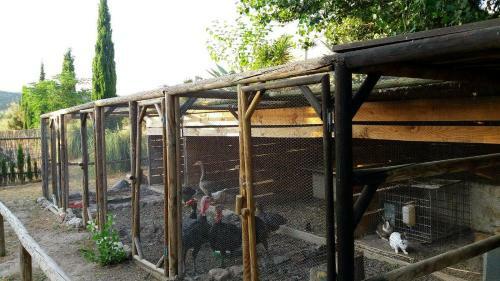 Agroturismo Explora Natura