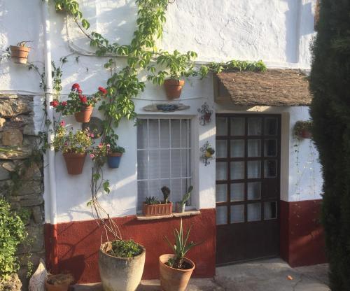 Agroturismo Explora Natura