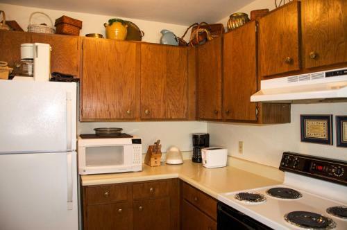 Apartamento Homey Ski Getaway Condo In Pitkin Creek Park