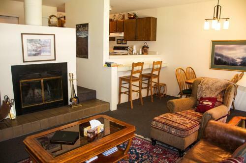 Apartamento Homey Ski Getaway Condo In Pitkin Creek Park