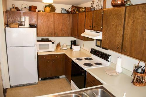 Apartamento Homey Ski Getaway Condo In Pitkin Creek Park