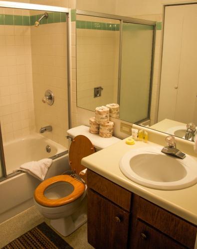 Apartamento Homey Ski Getaway Condo In Pitkin Creek Park