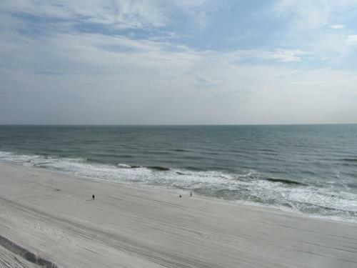 Apartamento Gulf Tower Unit 8b
