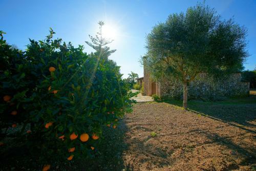 Villa Can Nadal