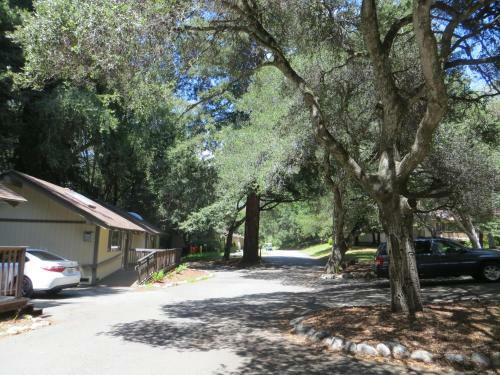 Big Sur Lodge