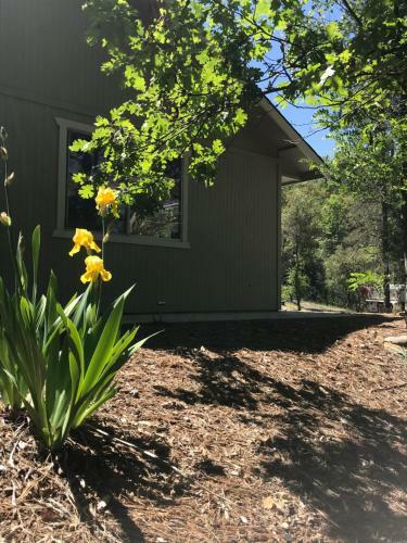 Yosemite Inn At Pine Mountain Lake