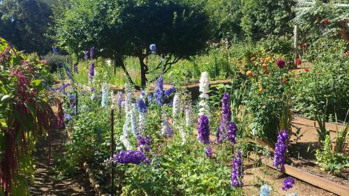 Posada Madrona Manor