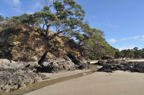 Hotel Waipu Cove Resort