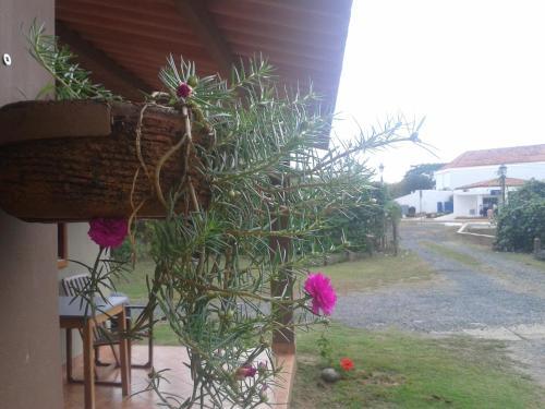 Hotel Residencial Pedasi