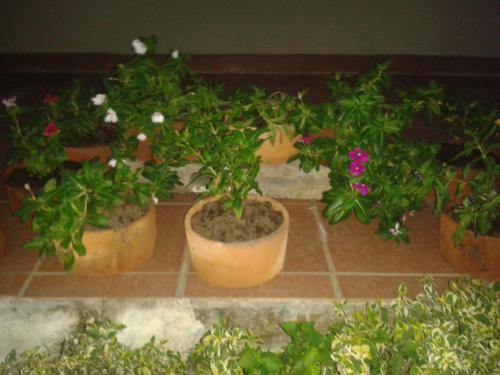 Hotel Residencial Pedasi