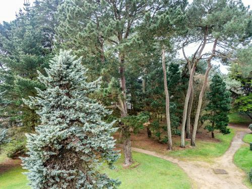 Apartment Carnac 4902