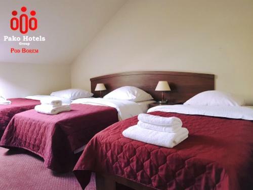 Posada Hotel Pod Borem