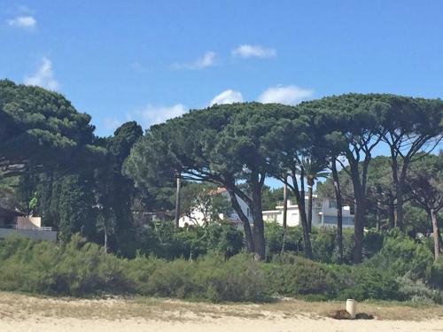 Villa Loriana