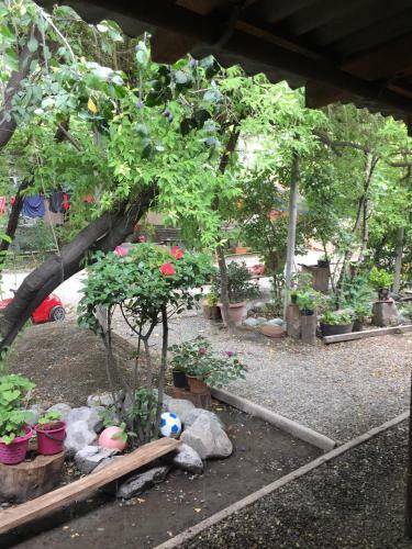 Hostal Guest House Gzirishvili