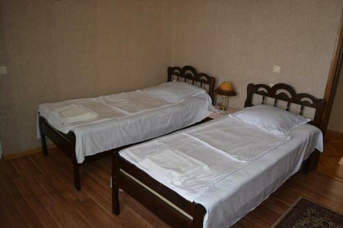 Hotel Ameli