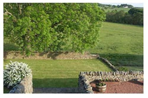 Agroturismo Yellow House