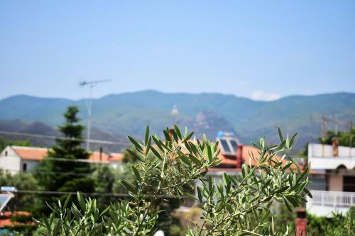 Apartments Pantazis