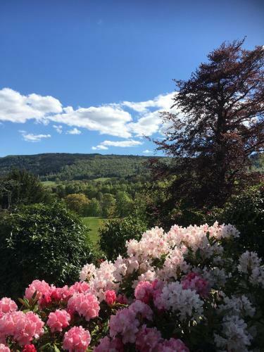 Agroturismo Pitlochry Dundarach Hotel
