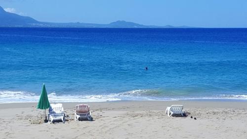 Hispaniola Beach Ocean View Apartment