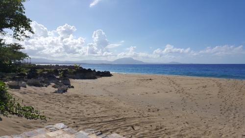 Hispaniola Beach Ocean View Apartment