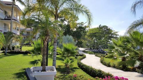 Hispaniola Beach Ocean View Apartment