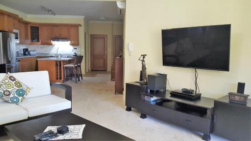 Hispaniola Beach Ocean View Apartment
