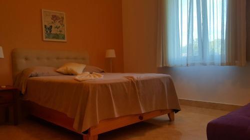 Hispaniola Beach Ocean View Apartment