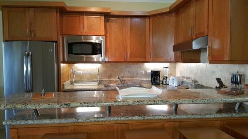 Hispaniola Beach Ocean View Apartment