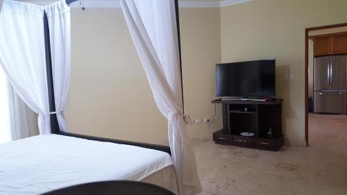 Hispaniola Beach Ocean View Apartment