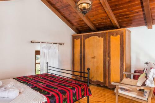 Traditional House