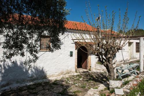 Traditional House