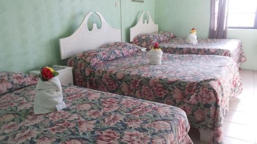 Stephanie's Hotel