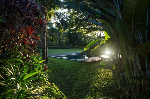 Hotel Alassari Plantation