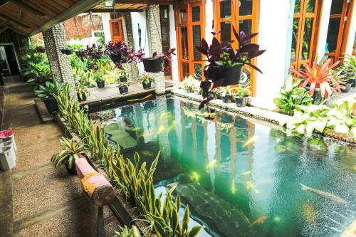 Villa Rumah Pakankamih