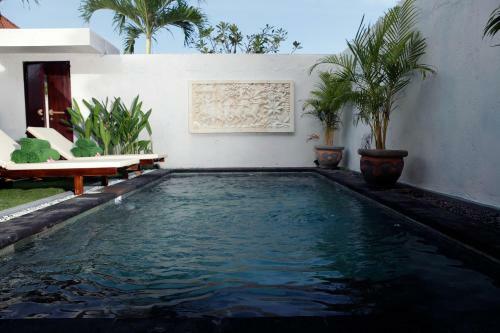 The Wyn Villa
