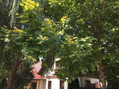 Apartamento Vargapartman