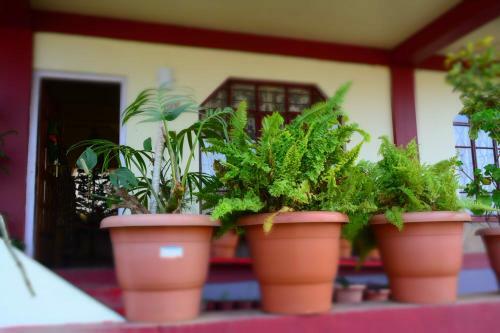 Hostal Dew Drop In