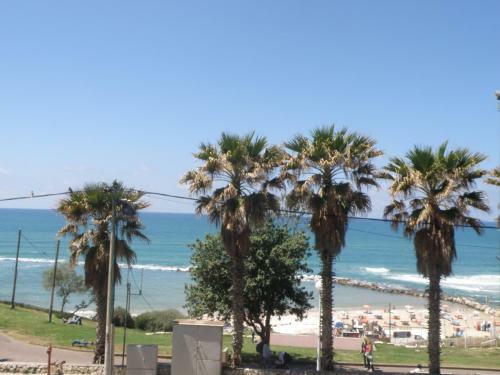 Hotel Spat Beach