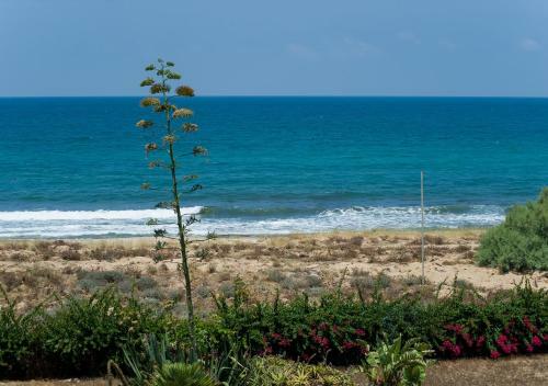 Apartamento Ha-aliya Sea View