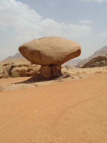 Azzabi Nomad Camp