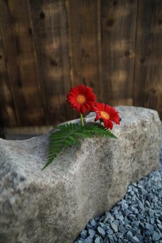 Ryokan Tori