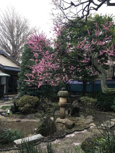 Hostal Mokkoan